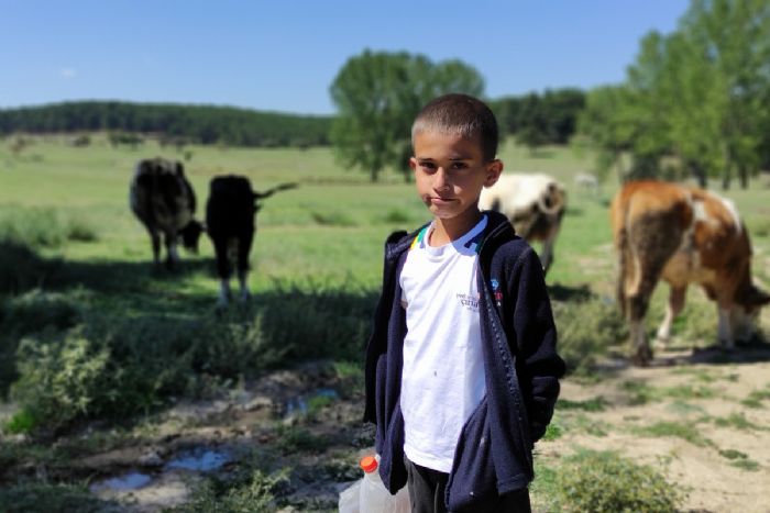 Boyundan byk hayvanlara obanlk yapyor