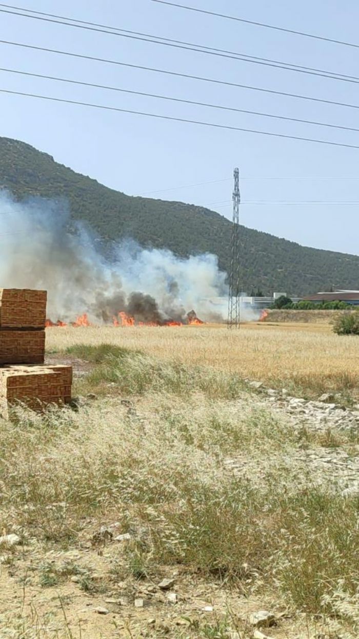 Burdur'da kan arazi yangnnda yaklak 25 dekar alan yand