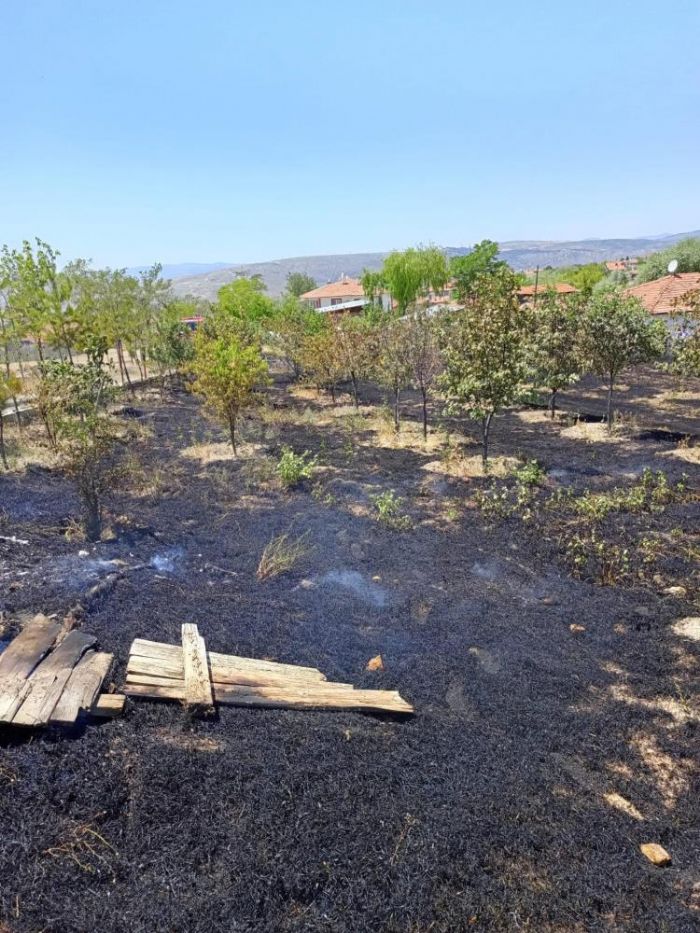 ankr'da kan ot yangnlar bymeden sndrld