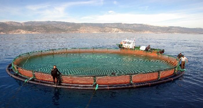 Mersin Kent Konseyi'nden Aydnck'ta Planlanan Balk iftliklerine Tepki