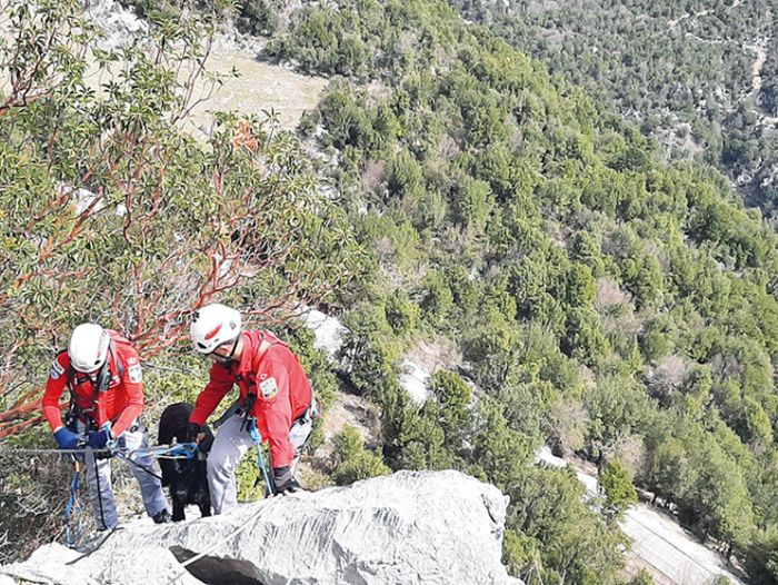 Akut Mersin Ekibi mahsur kalan keiyi kurtard