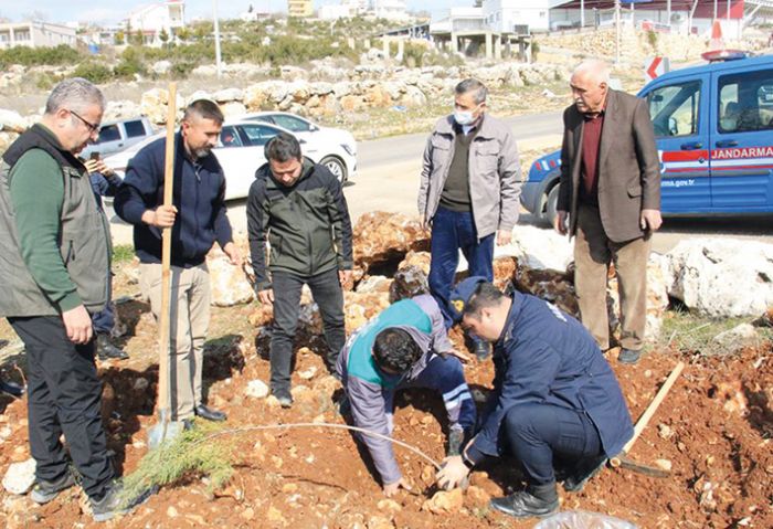 ehitler adna iki orman kuruldu, ilk fidanlar aileleri dikti