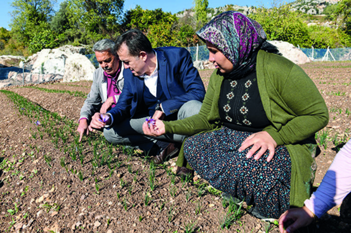 Yeniehir Belediyesi tarmsal danmanlk hizmeti verecek