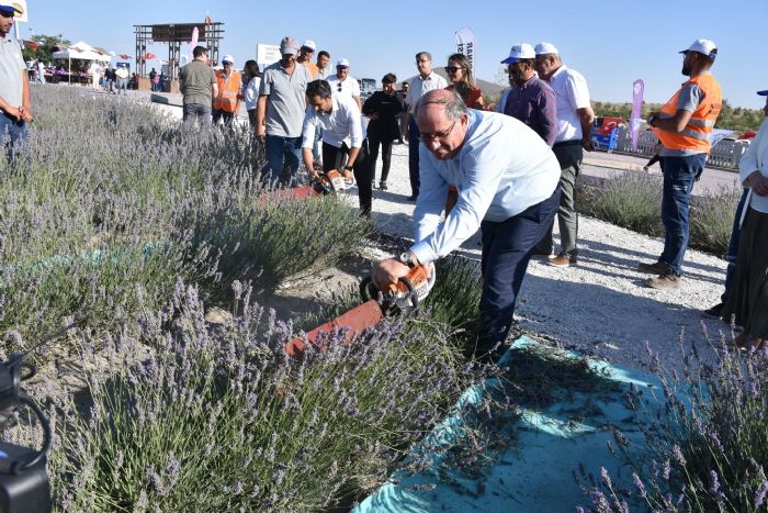 Konya’da 2. Karapnar Lavanta Festivali dzenlendi