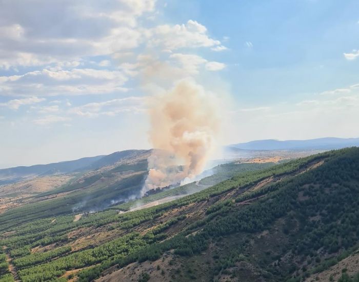 ivrildeki yangnda 8 hektar alan zarar grd