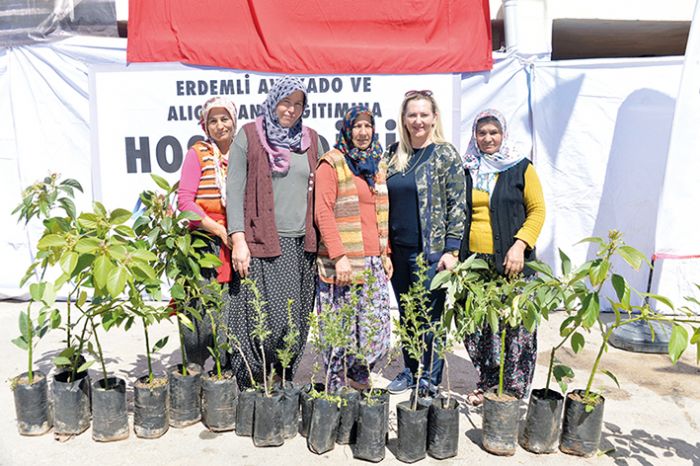 Erdemlide 91 retici avokado, 26 retici ise al fidan ald