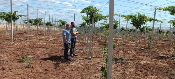 Batmanda devlet desteiyle modern seracln yaygnlatrlmas hedefleniyor