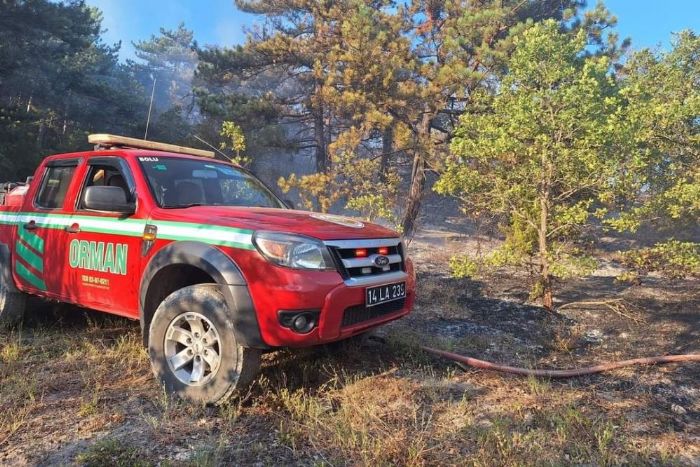 Bolu'da kan orman yangn bymeden sndrld