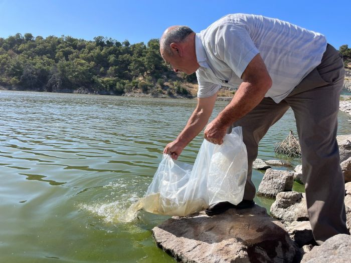 Gletlere binlerce yavru sazan bal brakld