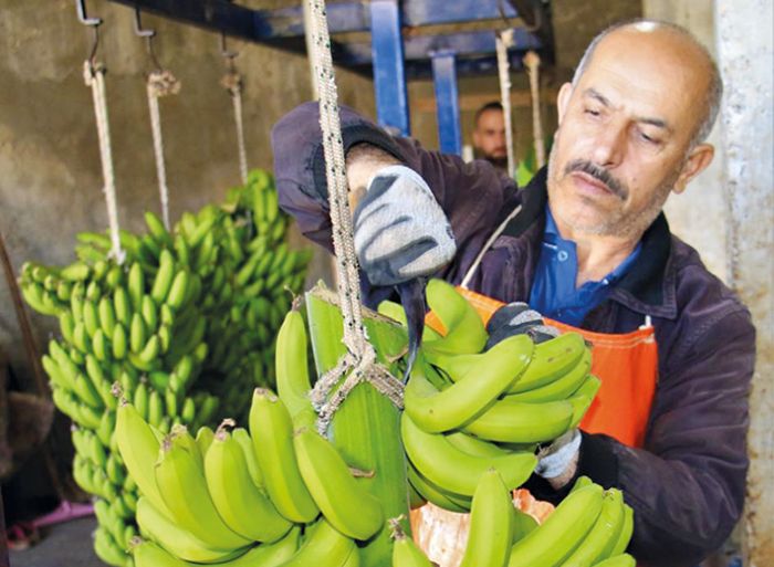 Muzun fiyat enflasyona direnerek geen ylla ayn kald