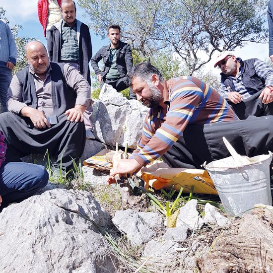 OGM, ormanclkta orman kyllerini unutmuyor