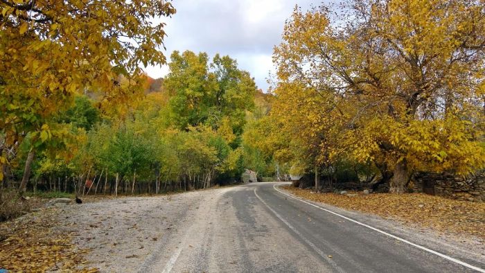 Yksekovada sonbahar gzellii