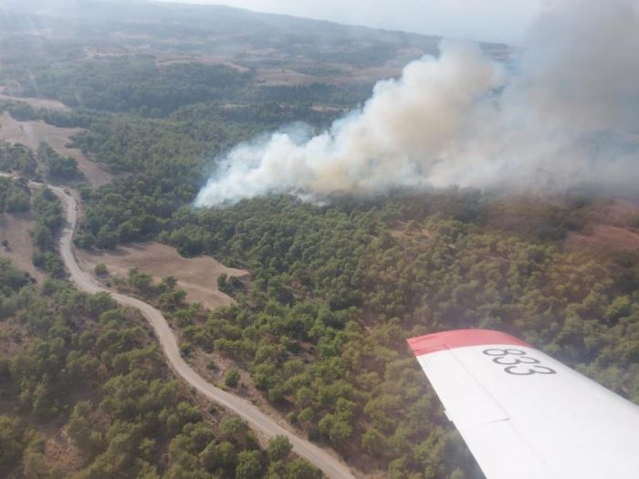 Adana'da kan orman yangn kontrol altna alnd