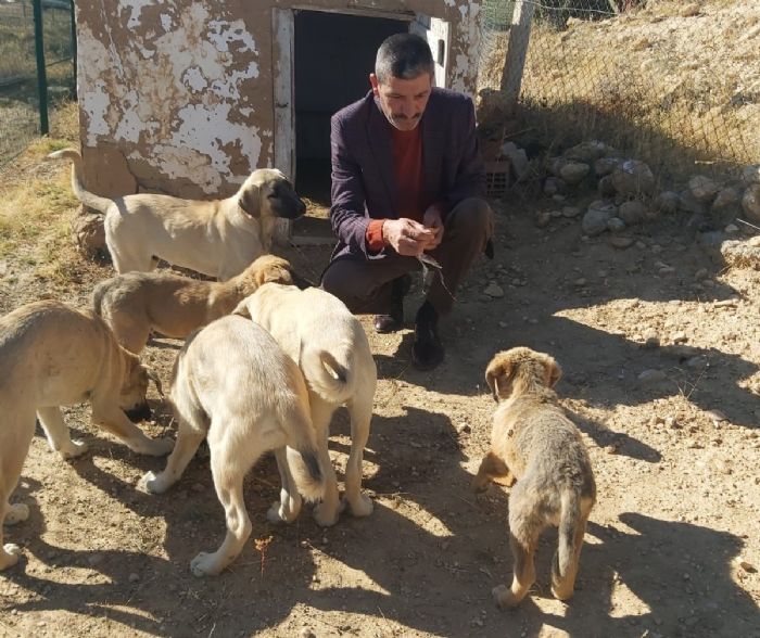 eyrek asrdr sahipsiz kpekleri besliyor