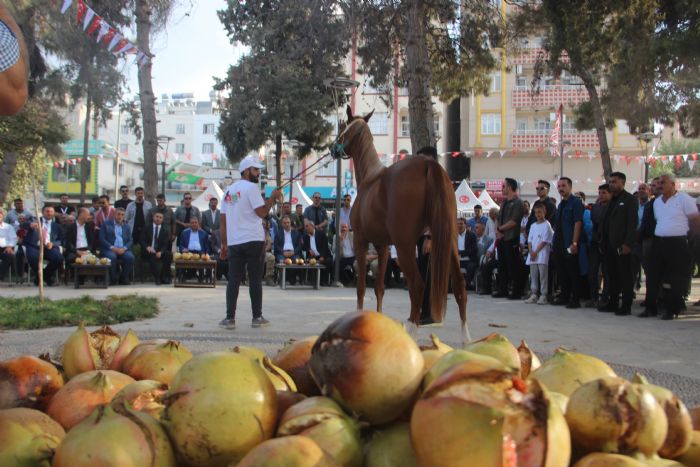 At ve Nar Festivali renkli grntlere sahne oldu 