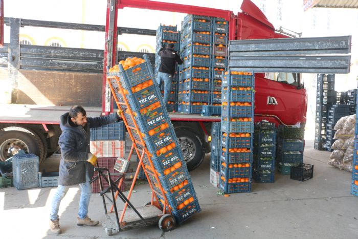 Diyarbakr'da souk hava sebze ve meyve fiyatlarn etkiledi