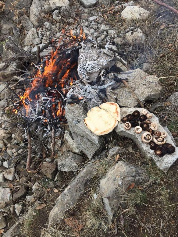 Mantar ziyafeti patlamayla son buldu