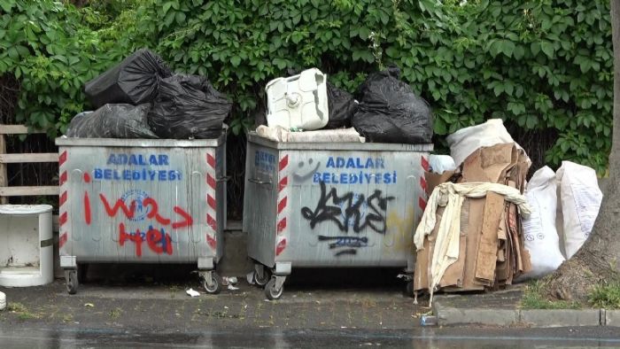 Adalarda plerden ve otlardan geilmiyor