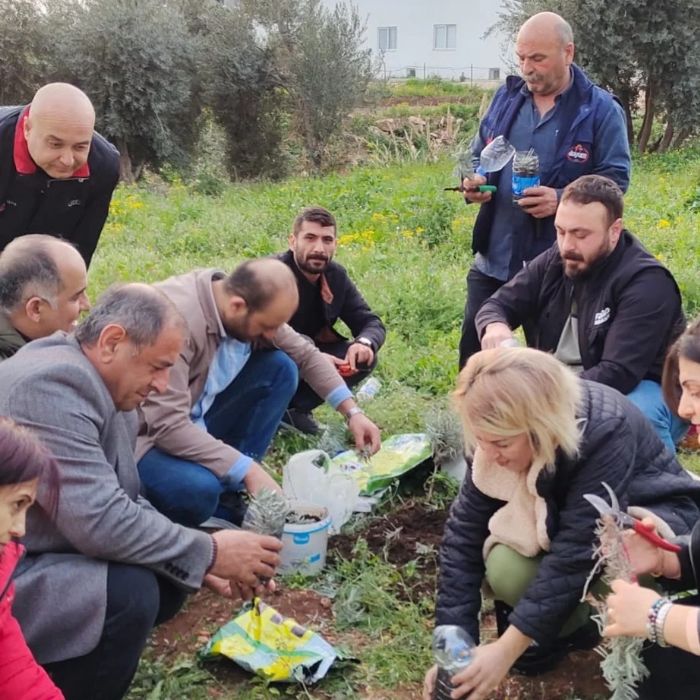 Mezitlide aromatik bitki yetitiricilii eitimleri balad