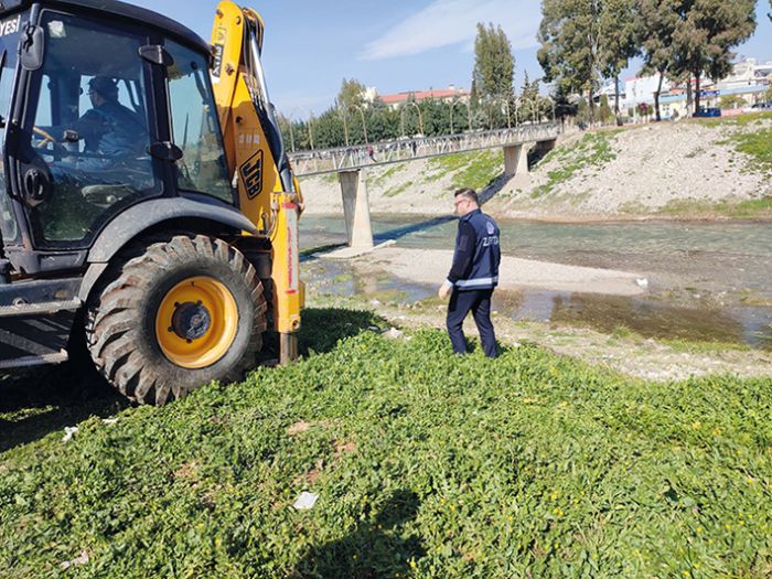 Dere yatana atlan etler Yeniehir Belediyesi tarafndan imha edildi