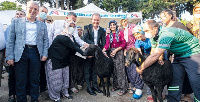 Bykehir, tarm ve hayvanclkta reticinin destekisi