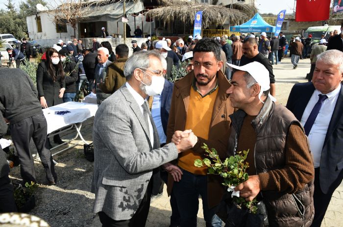 Tarsus Belediyesi reticilere 40 bin adet yerli fide datt