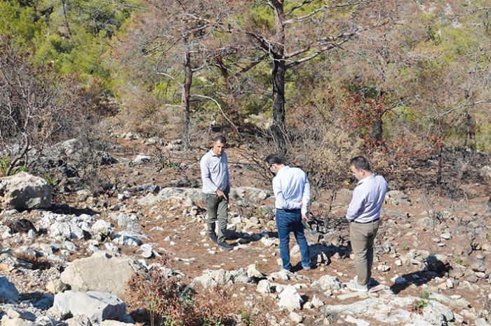 Yanan sahalarda fidan dikim hazrlklar devam ediyor