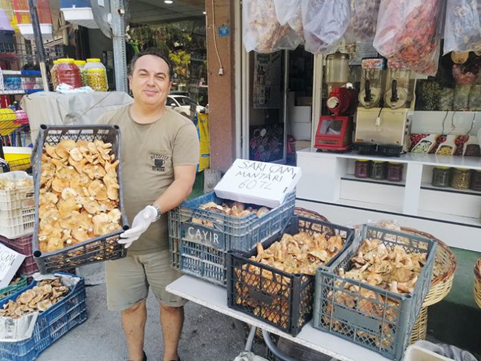 Sar am mantar da kyllerinin geim kaps oldu