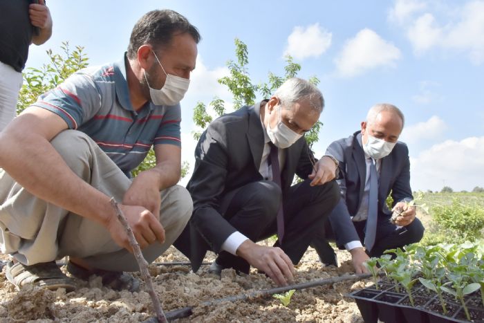 Bakan Bozdoan, yerli tohumlar toprakla buluturdu