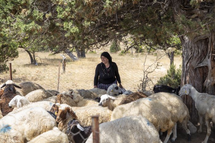 Bykehirin Byyen Projesi: Hadi Gel Kymze Destek Verelim