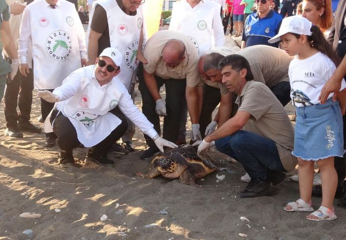 50 yandaki Caretta Caretta denizle bulutu