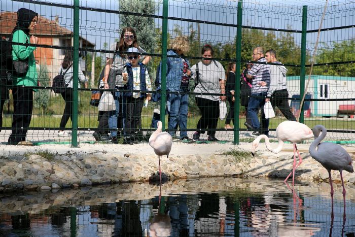 Sakarya Bykehir Belediyesi Engelsiz Hobi Kursu