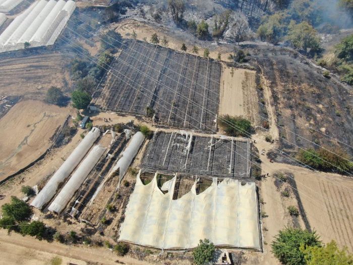 Antalya'da kan orman yangnnda seralar byk zarar grd