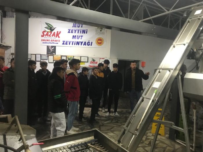 Liseli renciler zeytinya fabrikasn gezdi