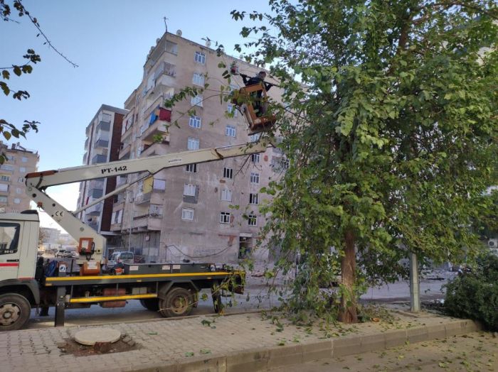 Balarda bakm ihtiyac olan aalar budand