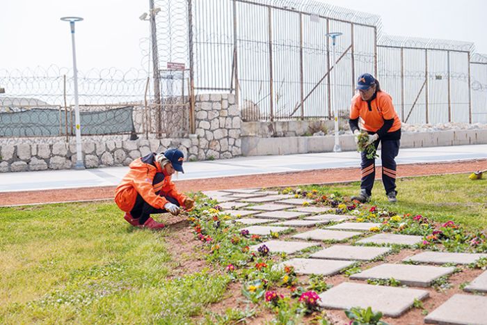 Mersinde ilk  ayda 197 bin 652 bitkiyi toprakla buluturdu.