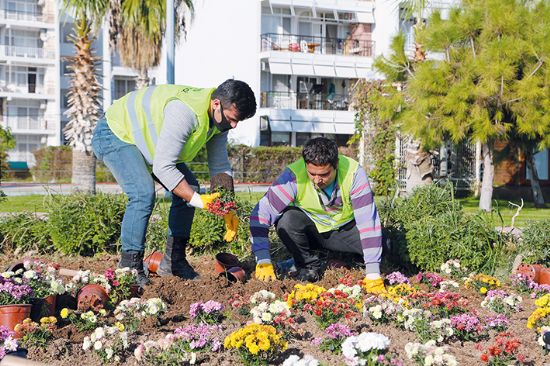 Erdemli Belediyesi ylda 20 bin bitki retiyor