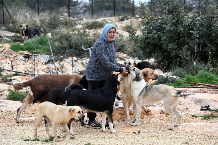 Kzkalesinde sokak hayvanlarnn annesi: Hayriye zyurt