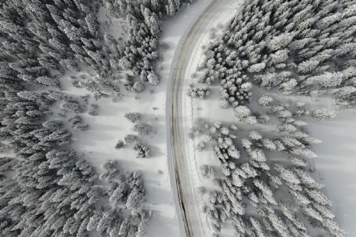 Kar kalnlnn 1,5 metreyi at Ilgaz Da grenleri mest ediyor