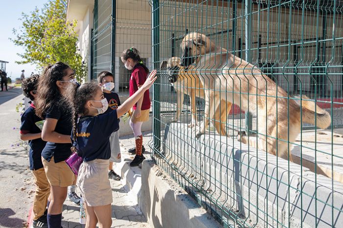 renciler, Kal Geici Hayvan Bakmevindeki patili dostlarla bulutu