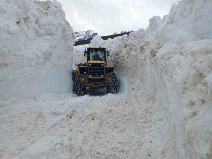 Trabzon yaylalarnda karla mcadele almas sryor