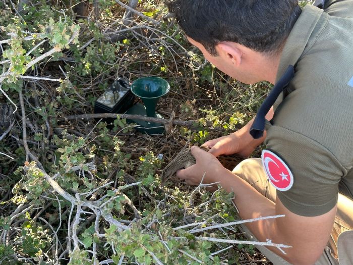 Mersin Emniyeti nesli tkenen bldrcn kurtard