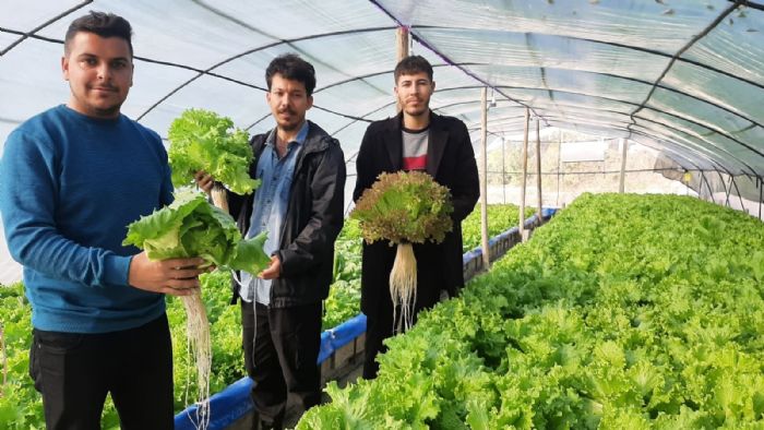  gen kurduklar serada topraksz tarm yapyor   