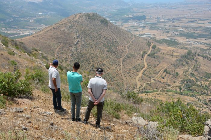 Mersin'de ormanclk incelemeleri