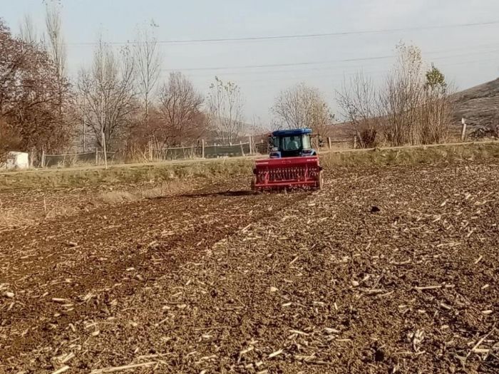 Karaklk buday toprakla bulutu