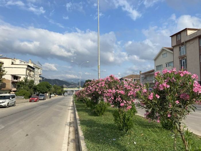 Orta refj adeta canland rengarenk oldu   