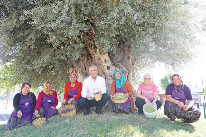 Tarhandan zeytin aalarnn kesilmesine ynelik kararnameye tepki