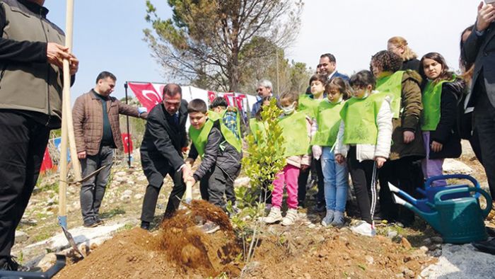 Kozanda yanan ormanlar yeniden fidanla buluuyor