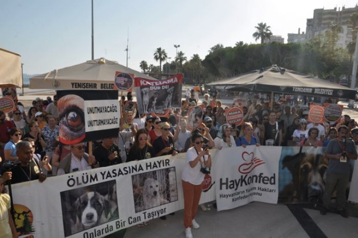 Mersin'de sokaktaki canlar iin 'adalet' mitingi