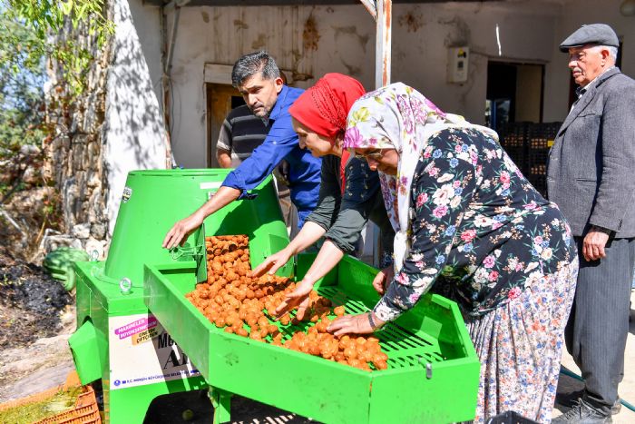 Silifkeli ceviz reticilerinin kabuk soyma derdi bykehir ile sona erdi